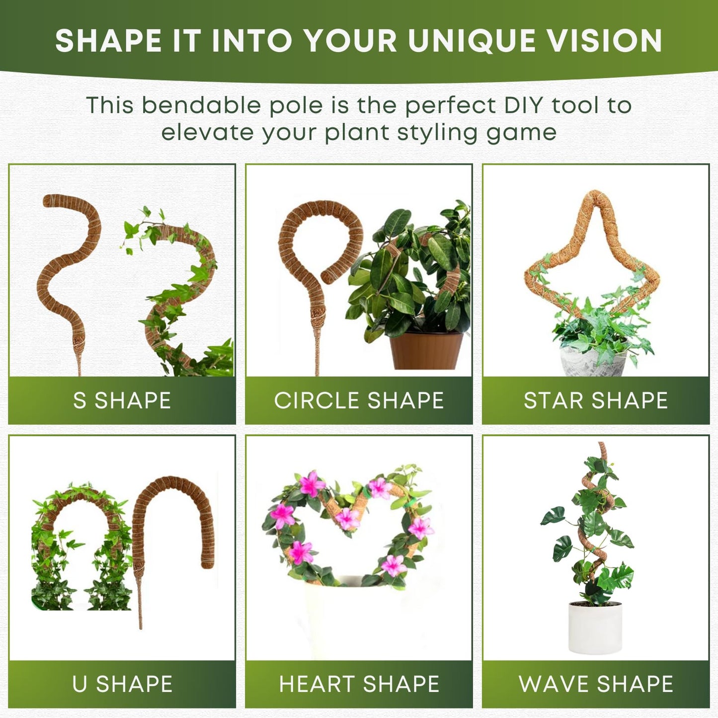 Auraville Moss Pole Monstera Plant Support | 60 Inch Plant Stakes for Indoor Plants | Coconut Palm Fiber Moss Poles for Climbing Plants | Handmade Plant Sticks Support Tall Monstera, Pothos & More