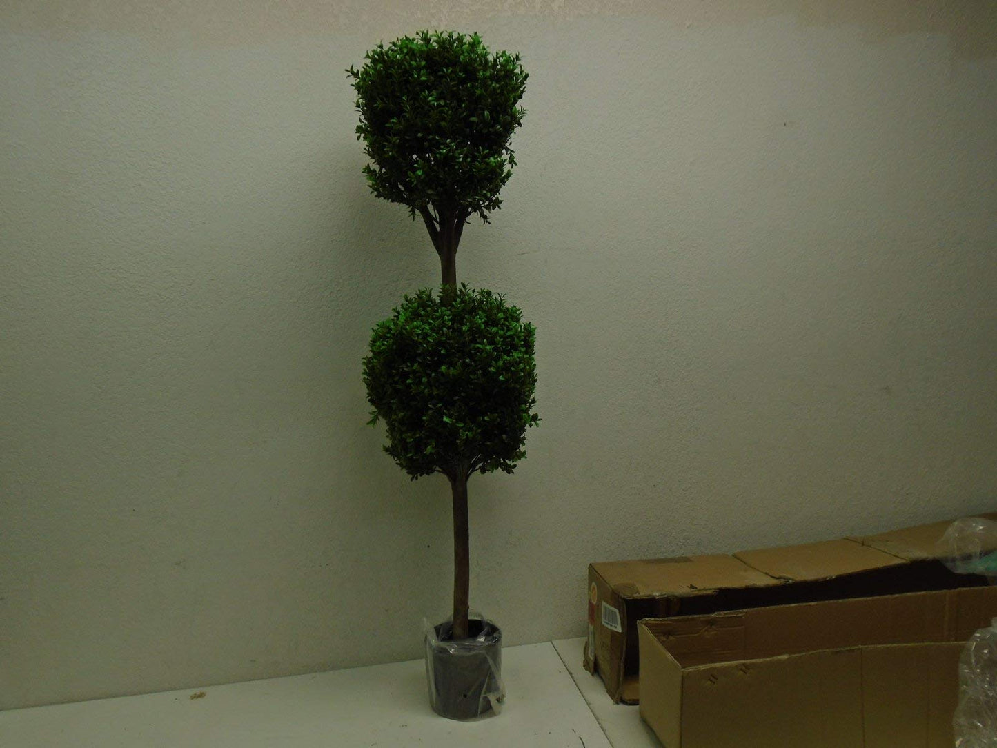 4' Double Ball-shaped Boxwood Topiary in Plastic Pot Two Tone Green