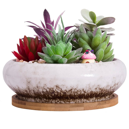 ARTKETTY Succulent Pots - 7.3 Inch Ceramic Bonsai Pot with Tray, Large Succulent Planters with Drainage, Shallow Planter for Indoor Cactus Plants Decorative Flower Plant Container Bowl