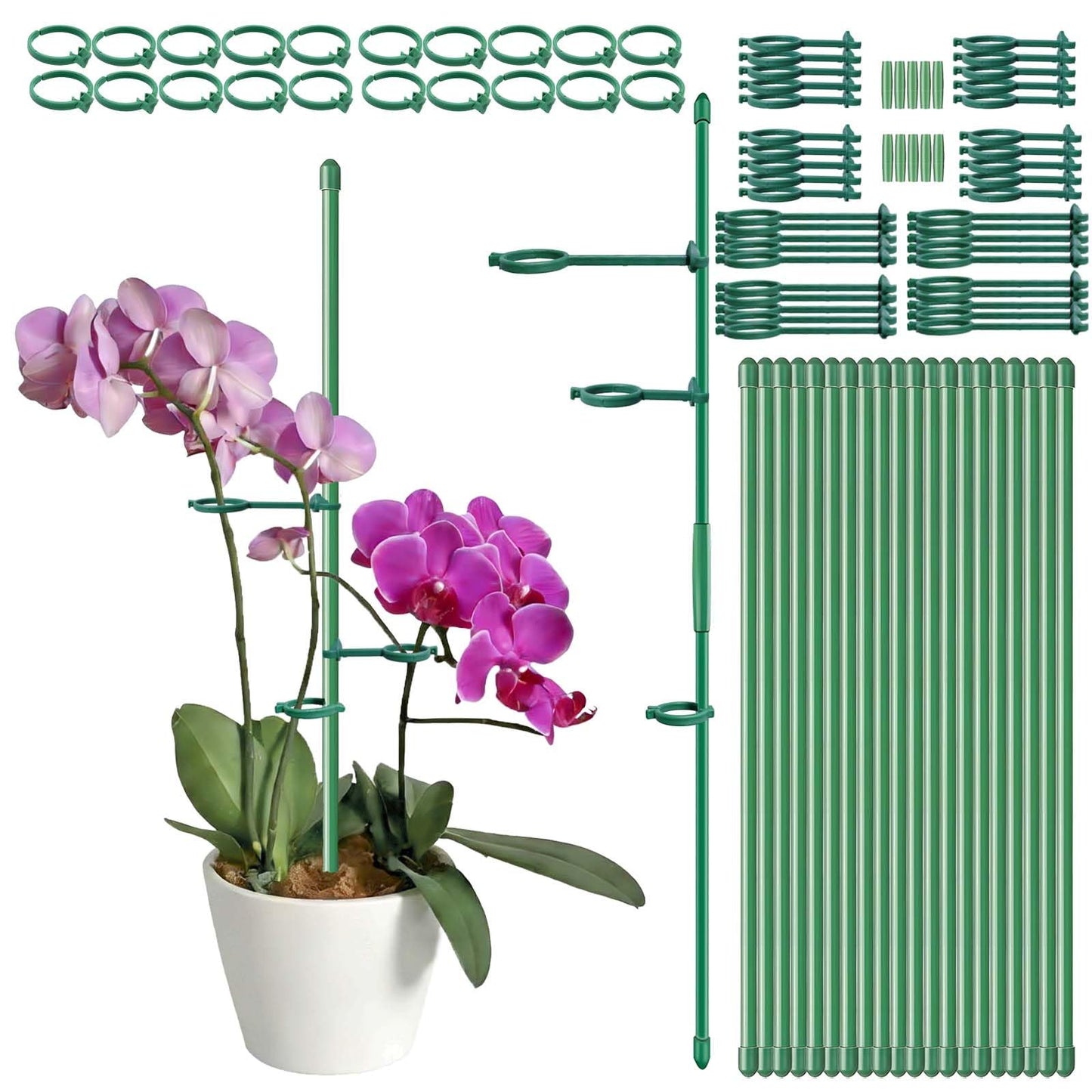 20 Set Plant Stakes 12 inch Extendable Plant Support Stakes with Adjustable Clips Rings, Flower Stem Plant Support Sticks for Indoor Outdoor Plants Stabilizer Garden Sticks for Orchid Rose Tomato