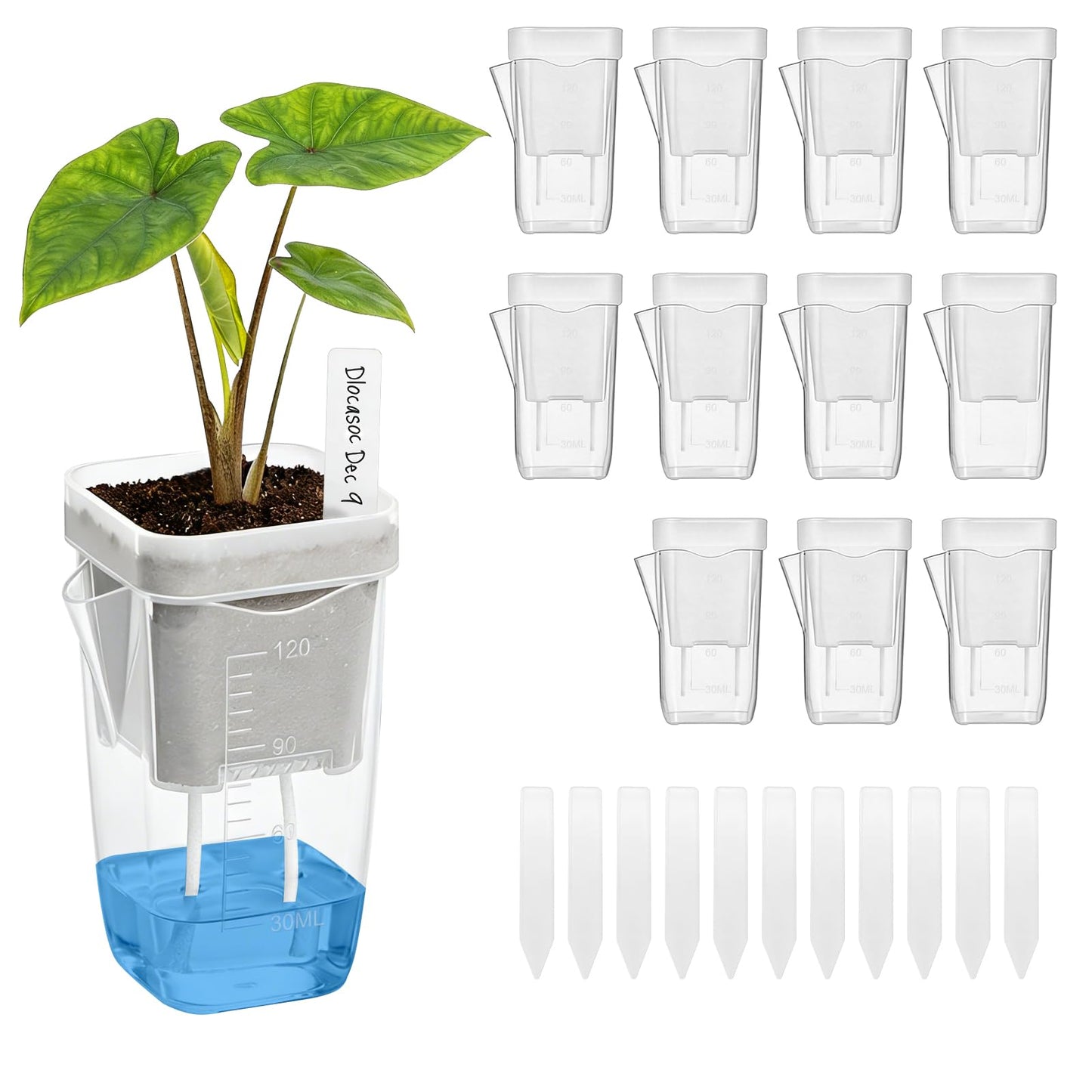 12 Pack 2" Mini Self Watering Pots for Indoor Plants - Clear Plastic Planters with Water Level Indicator & Drainage Hole, Ideal for Alocasia, African Violet, Cuttings, Seeding + 12 Plant Labels