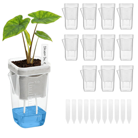 12 Pack 2" Mini Self Watering Pots for Indoor Plants - Clear Plastic Planters with Water Level Indicator & Drainage Hole, Ideal for Alocasia, African Violet, Cuttings, Seeding + 12 Plant Labels