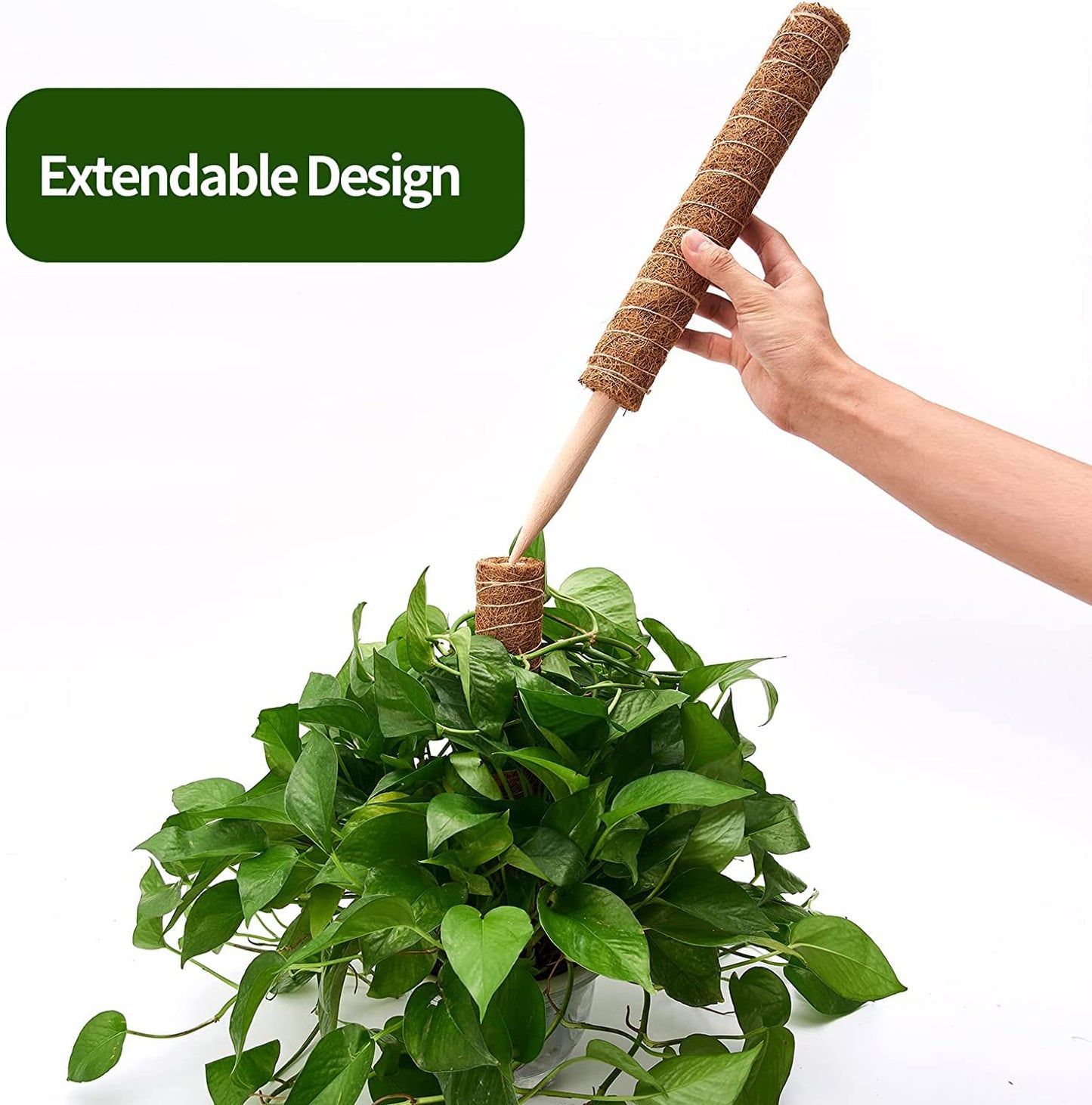 Eibikdi 8 Pcs Moss Pole for Plants Monstera, Plant Support Stakes for Indoor Climbing Plants Grow Upwards, with 65ft Twist Ties, 13ft Jute Rope, 6.5ft Hook-and-Loop Strip