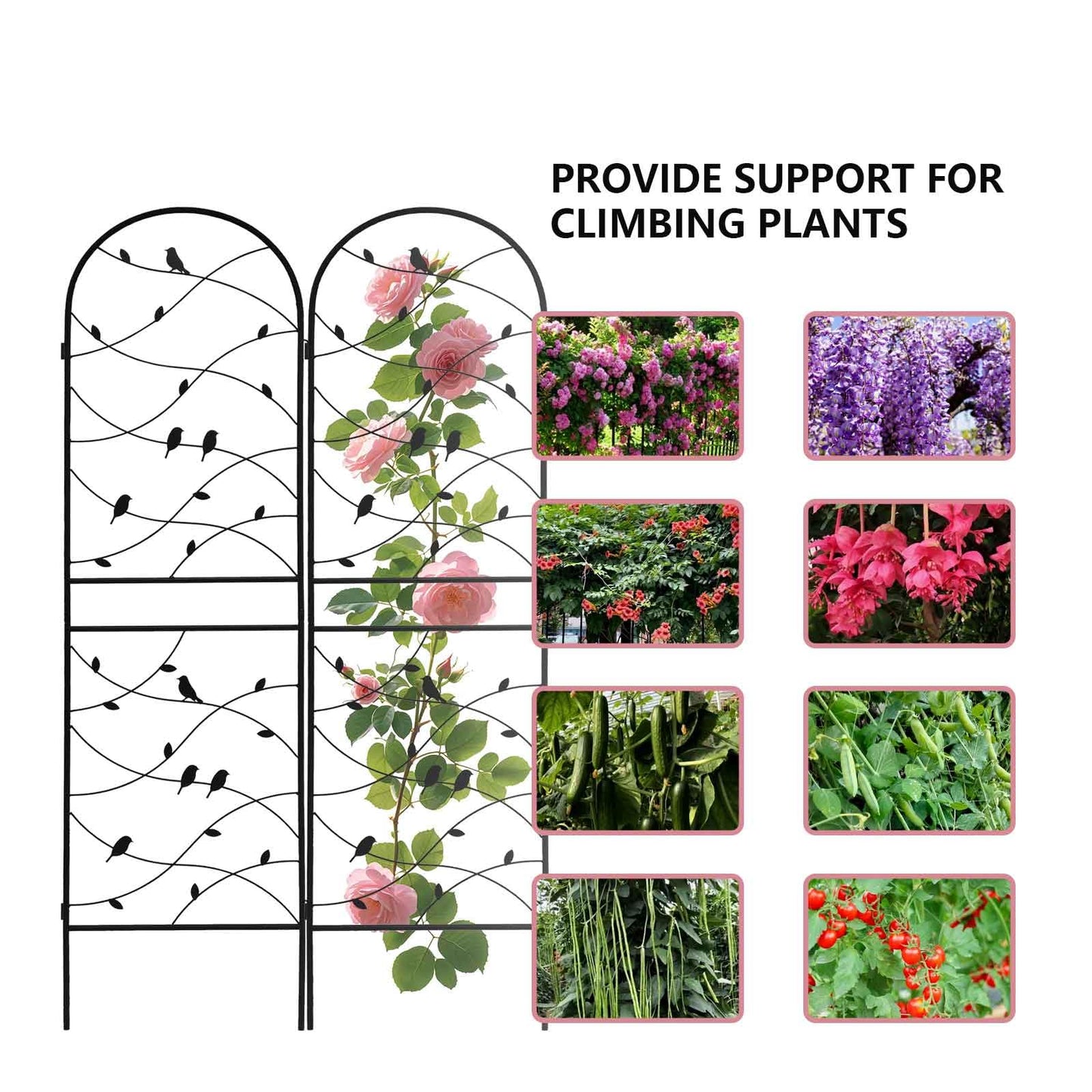 2 Pack Garden Trellis for Climbing Plants 86.7'' x 19.7''，Black Metal Garden Trellis，Heavy Duty Rustproof Plant Trellis for Rose Vine Vegetable