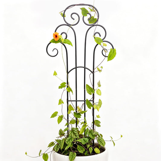GOOOXIM 31 Inch Trellis for Potted Plants - Iron Plant Support for Climbing Vines and Houseplants, Ideal Garden Stake for Monstera and Medium Plants, Perfect for Indoor and Outdoor Use