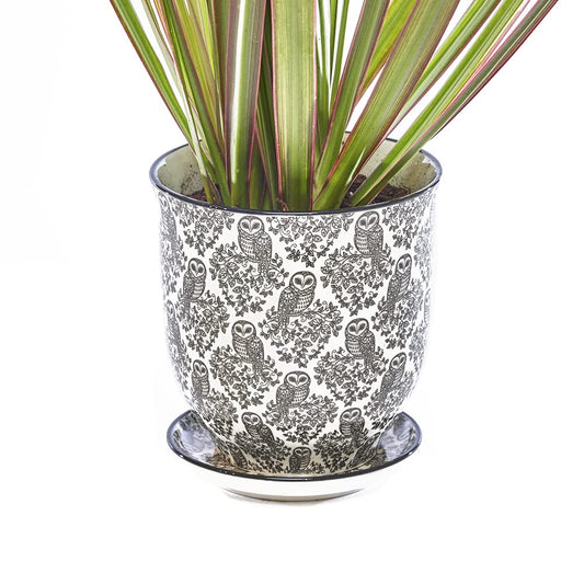 CHIVE ‘Liberte’ Ceramic Succulent Pots — 4.25” Cute Vintage Farmhouse Style Planters for Indoor Plants — Beautiful Home & Kitchen Decor — Black Owls