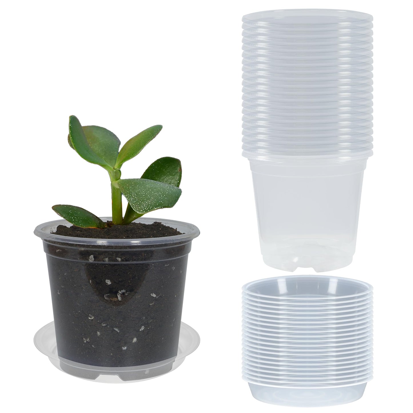 TNTIWQ 20 Pack 3 Inch Clear Nursery Pots with Drainage and 20 Pack Plant Saucers, Plant Pots for Plants Transparent Potting Containers for Plants Seeding Starter Pot (Clear, 3 Inch)