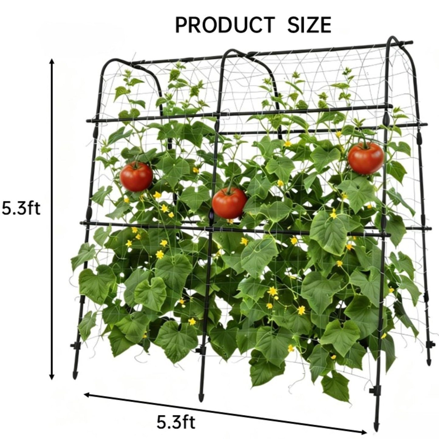 5.3x5.3FT Garden Arch Trellis for Raised Beds, Heavy Duty u-Shaped Plant Support for Climbing Vegetables, Fruits & Vines, Outdoor Rust-Resistant Metal Trellis for Vertical Growing, Black