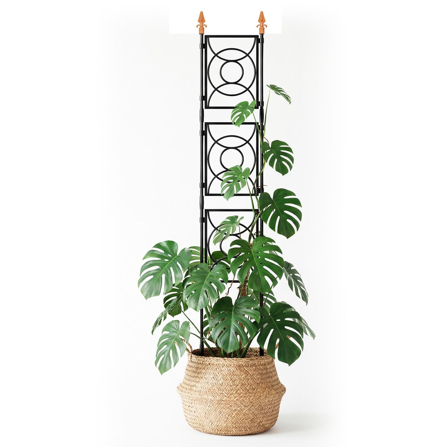 Trellis for Climbing Plants Indoor Outdoor, 24 Rifny Tall Garden Trellis Flower Rose Cucumber Trellis for Vines Pea Support, Wall Large Plant Trellis Fence with Plastic Plastic Screen Frame, 6.2 FT