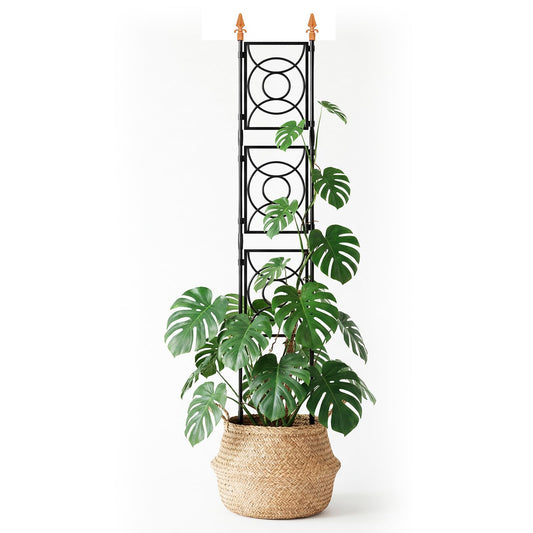 Trellis for Climbing Plants Indoor Outdoor, 24 Rifny Tall Garden Trellis Flower Rose Cucumber Trellis for Vines Pea Support, Wall Large Plant Trellis Fence with Plastic Plastic Screen Frame, 6.2 FT
