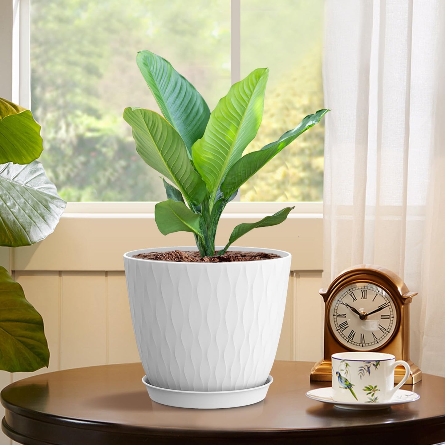 WSMKSZ 6 inch Flower Pots, 5 Pack Plant Pots with Drainage Holes and Saucers for Indoor Plants, Plastic Planters with Water Ripple for Small Garden House Plants, Nursery Pots for Succulent, White