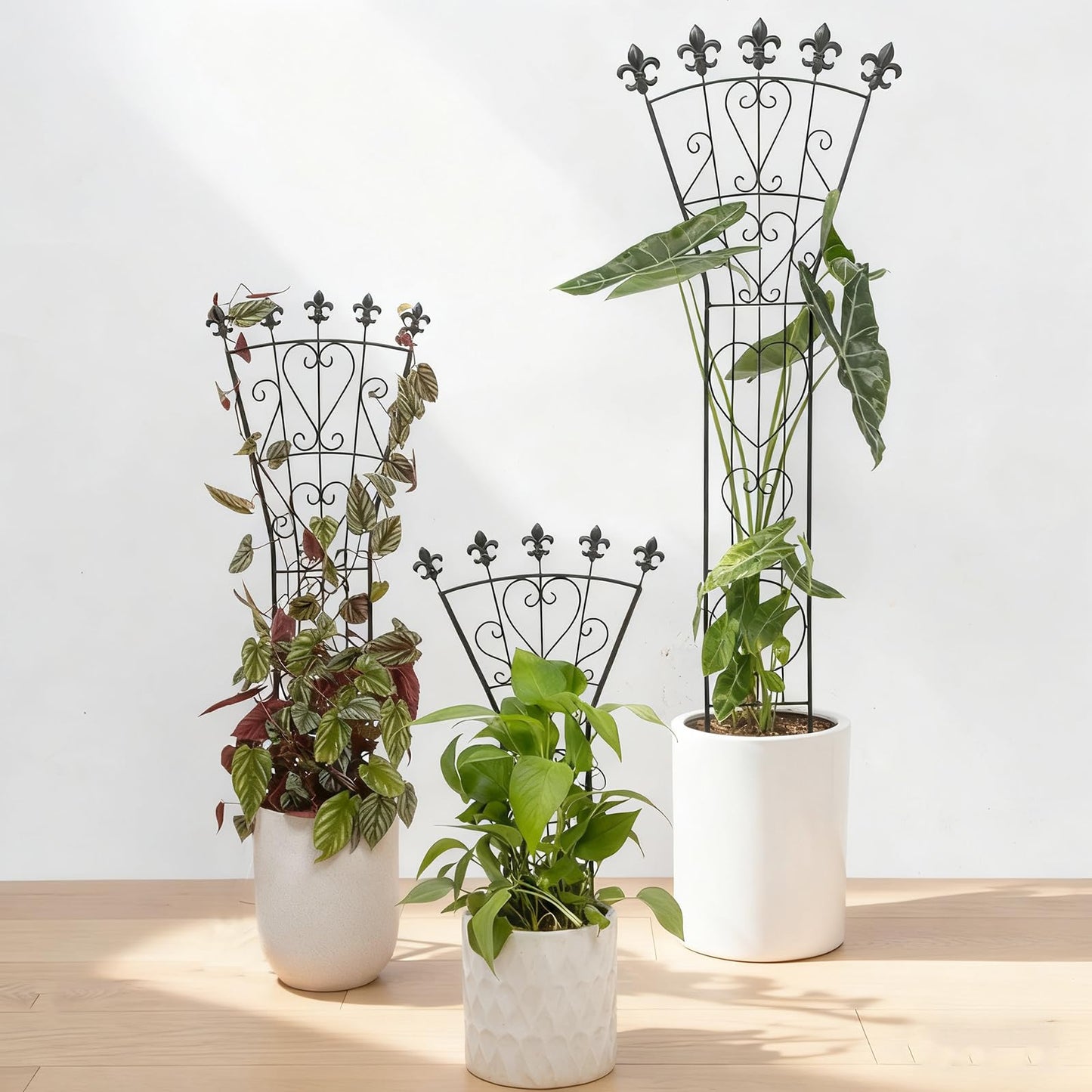 GOOOXIM Indoor Climbing Plant Trellis 46x15.5in Heavy Duty Durable Iron Decorative Support for Monstera, Pothos, and Houseplants Ideal for Vertical Growth in Garden, Balcony, and Indoor Spaces