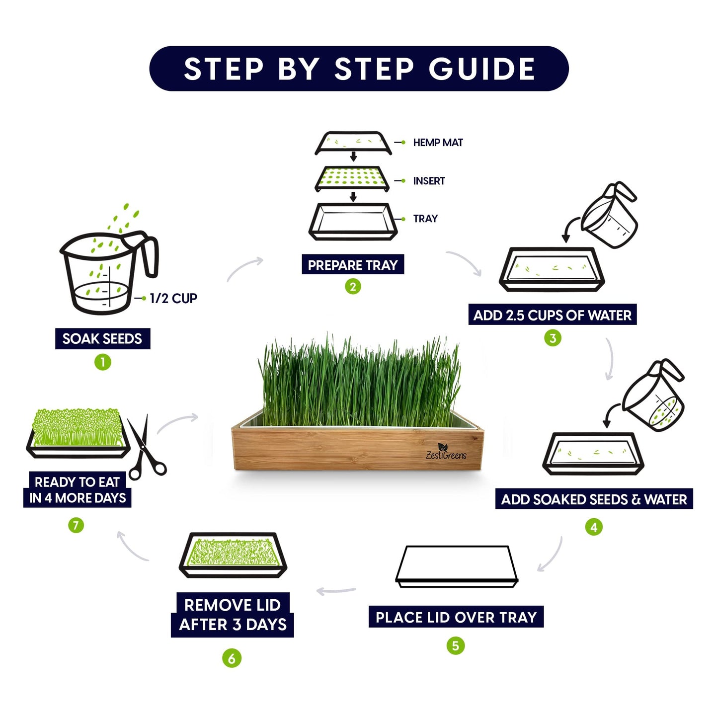 Self-Watering Cat Grass Kit – Grow Fresh, Living Cat Grass at Home in 5–7 Days | No Soil, No Mess | Organic Wheatgrass Seeds | Large Reusable Indoor Tray