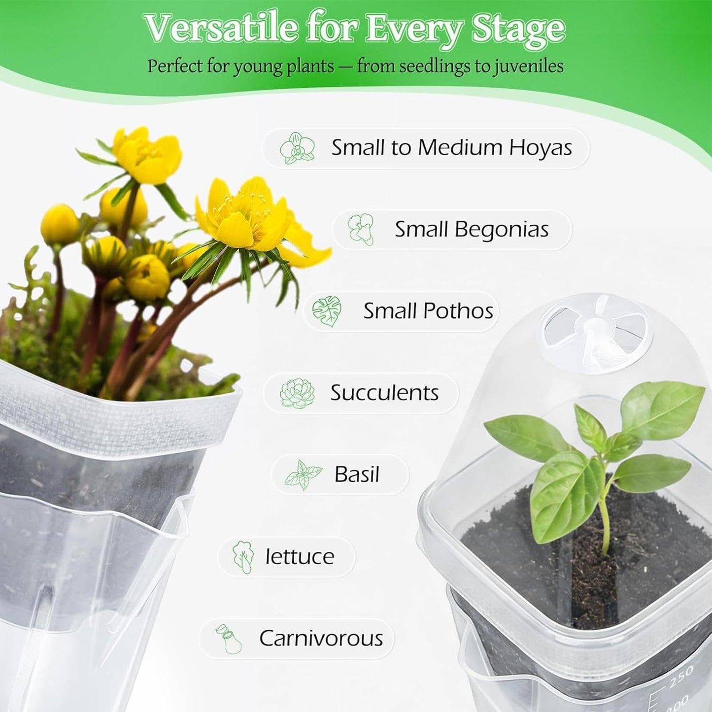 Self Watering Pots, 12 Pieces Clear Indoor Planter, 2 Inch Nursery Pots with Humidity Dome, Adjustable Vent and 150ml Reservoir for Cuttings, Balcony