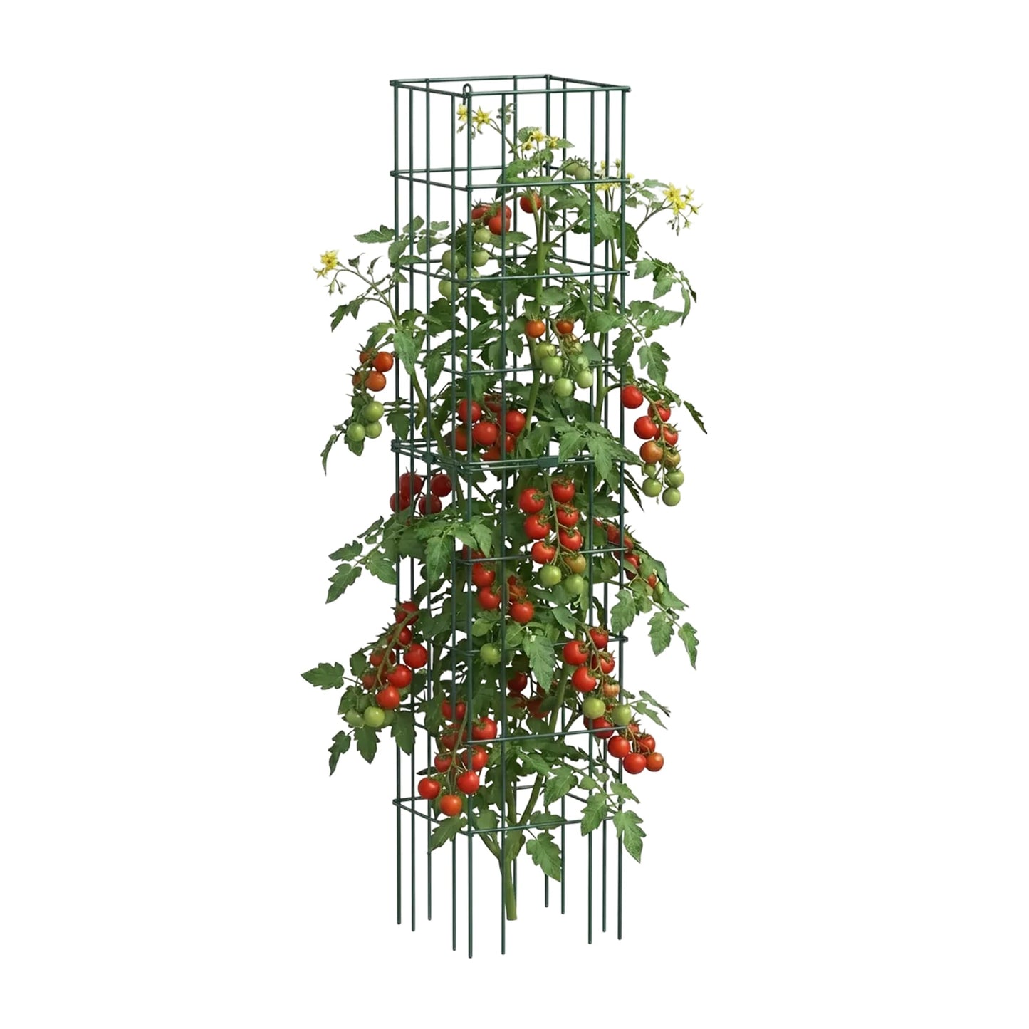 Vego Garden Tomato Cage 16.5" Square Heavy-Duty for Garden & Pots, Rust-Resistant Tomato Stackable Heavy Gauge Plant Cage Trellis Support for Climbing Vegetables Plants