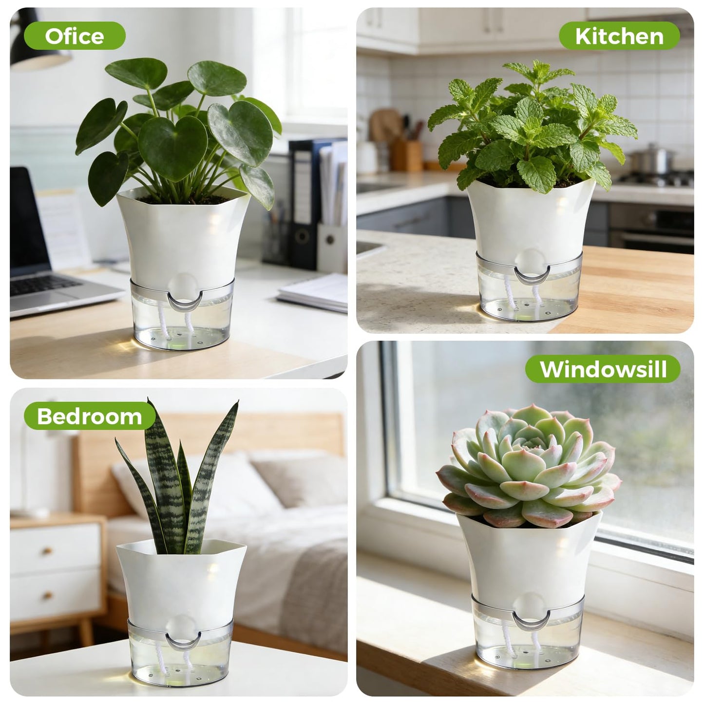 10-Pack 6" Clear Self Watering Pots for Indoor Plants Large Hexagon Self-Watering Planters Orchid Pots Plastic Wick Flower Plant Pots for African Violet, Spider, Herbs, Home Decor, White and Clear