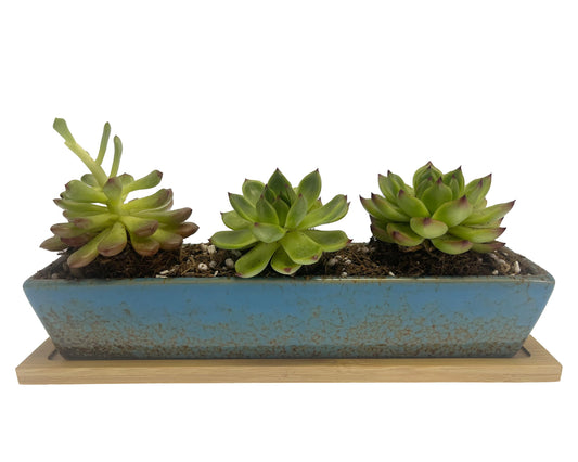9.8 inch blue long rectangle Ceramic Succulent Planter Pot,one set of Mini Flower Plant Container with Bamboo Saucers. not include the plant.