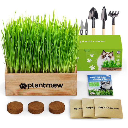 Cat Grass Kit for Indoor Cats - 3 Pack with Cat Grass Seeds, Nutrient Soil & Planter Pots | Complete Growing Set for Fresh Pet Grass (Non-GMO Wheat Grass)