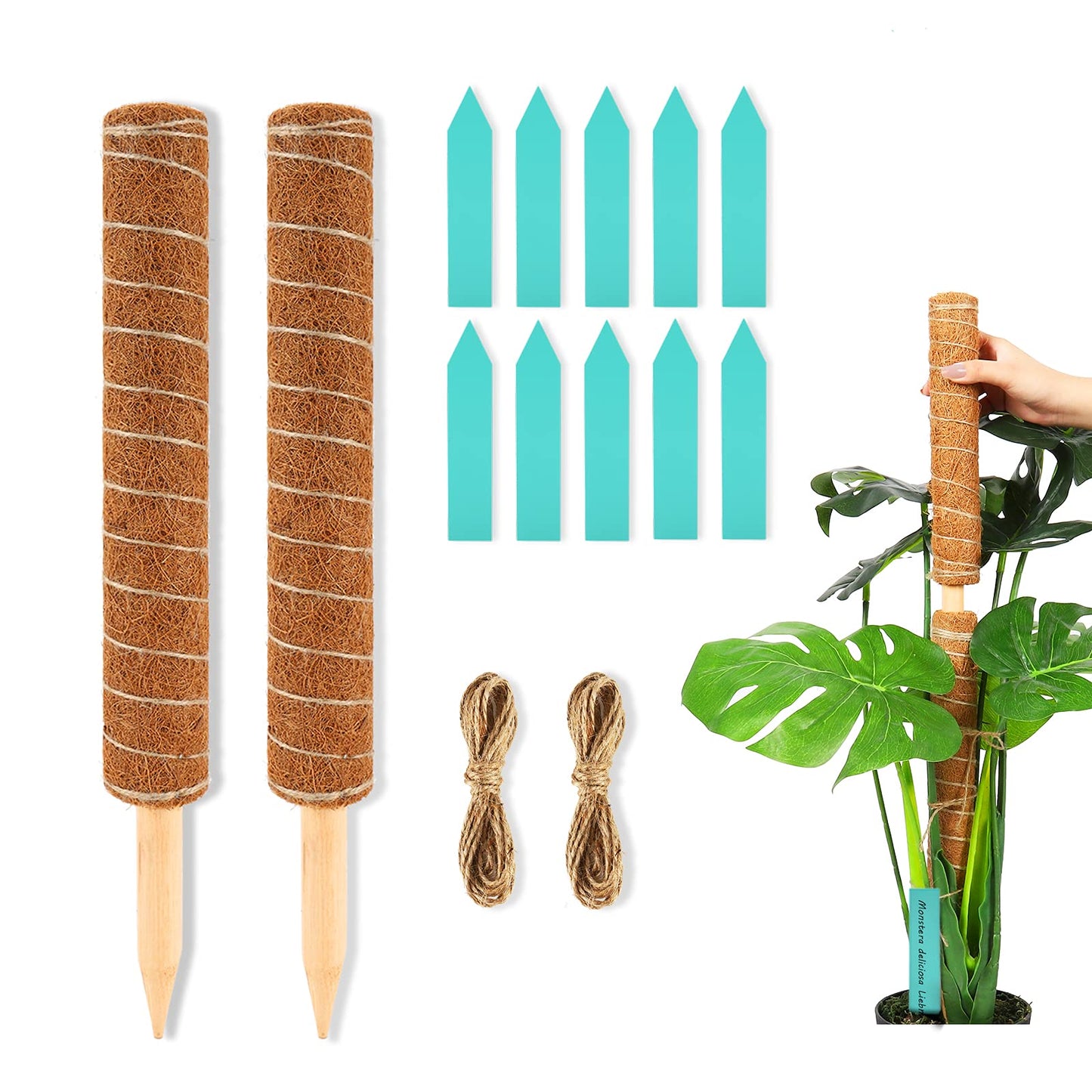 DACHUI 17 Inches Moss Poles for Climbing Plants, 2 Pcs Coco Coir Totem Pole-Support Indoor Plants to Grow Upwards