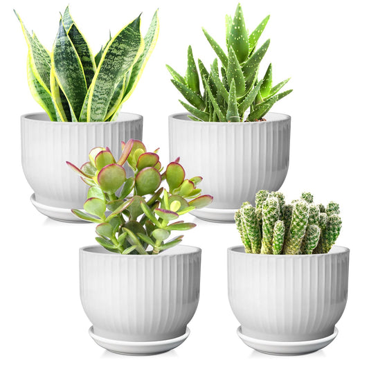 YUFDA 5.5 Inch Plant Pot, Ceramic Planter with Drainage and Saucer，Ceramic Pots for Plants, Indoor Plant pots，Succulent Orchid Flower Pot(Pure White,4 Pack)