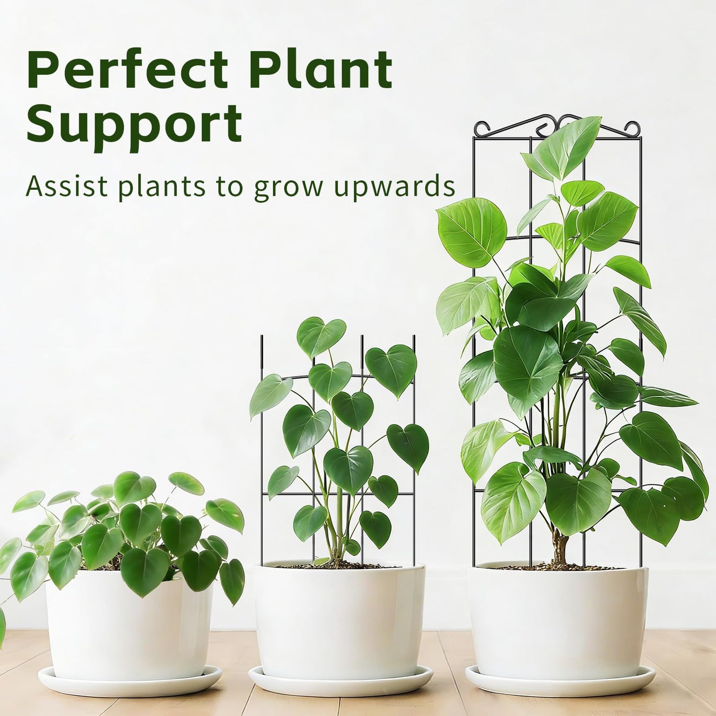 FAFTFTDY Trellis for Climbing Plants Indoor, 4 Pack 31'' Metal Plant Trellis Indoor for Potted Plants, Sturdy Plant Support Outdoor for Ivy Pothos Monstera Hoya Flower Vine, Rectangular Shape