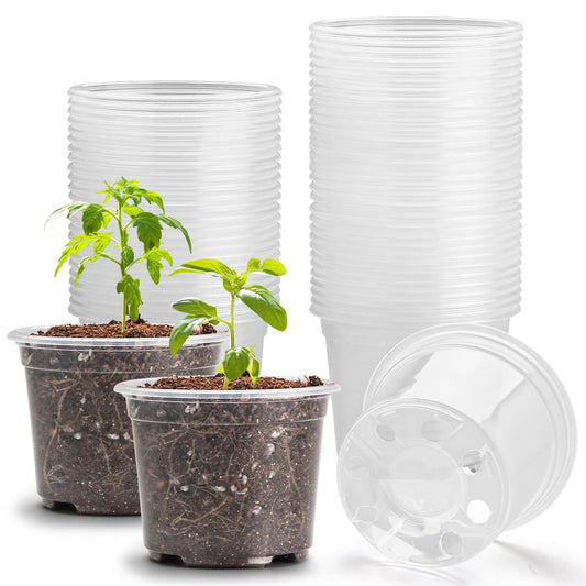 RooTrimmer Clear Seedling pots 100-Pack 3.2 Inches Round for Seeds Starter Pots, Seeds Germination Transparent Clean Pots with Drainage Holes(100 Pcs, 3.14Inch)
