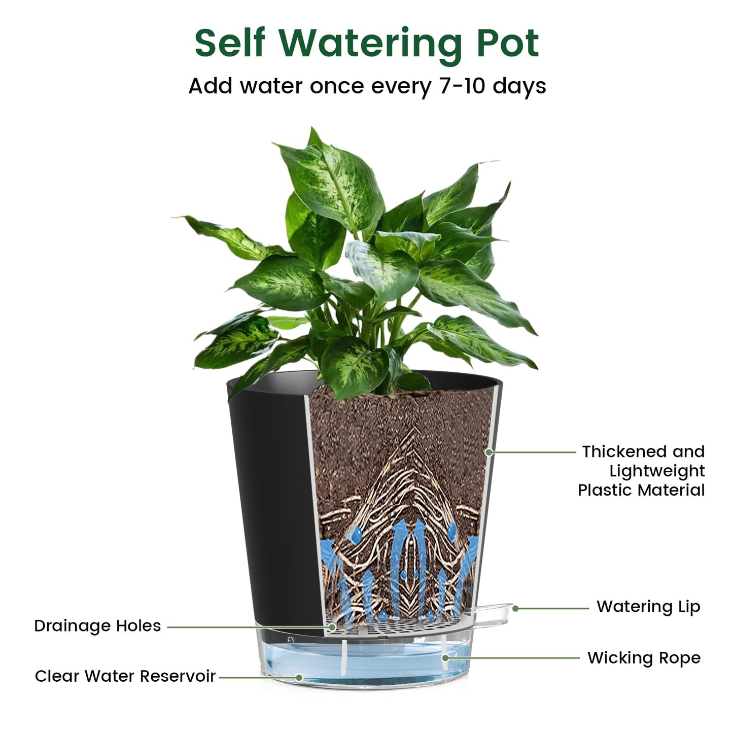 Meowell Self Watering Pots Pack of 6 – Different Size 4" to 7" Indoor Plant Pots with Drainage Holes and Clear Reservoir for Visible Water Level, Plastic Wicking Planters for House Plants, Black