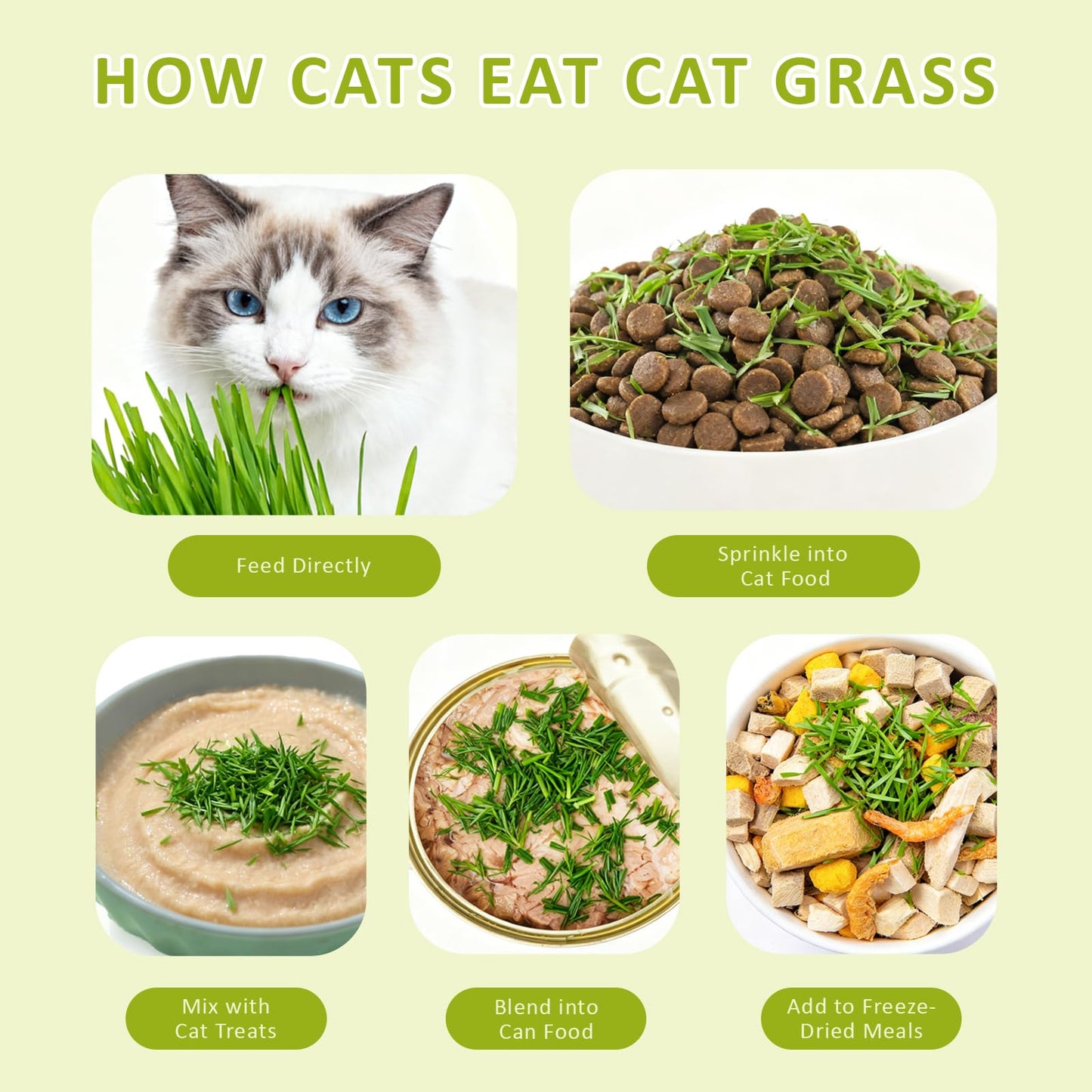 Cat Grass Kit for Indoor Cats with Wooden Planter - 5 Pack Cat Grass & 5 Coconut Soil, Complete Planting Tools, Water Sprayer, Scissors, Bonus Cat Gifts - Natural Wheat Grass for Hairball Control