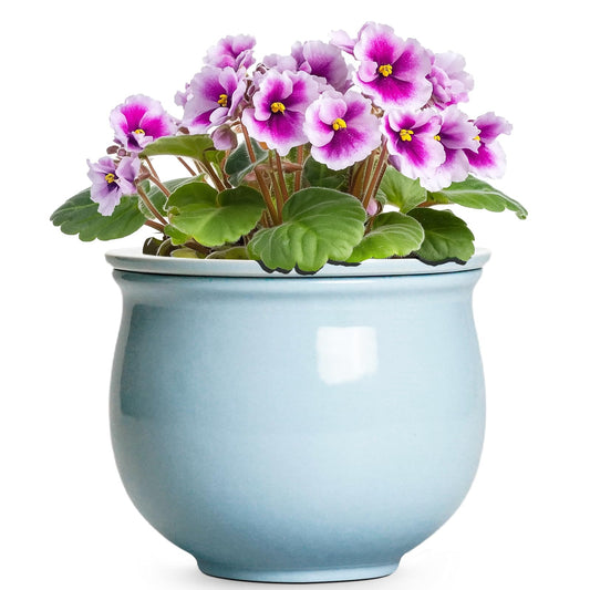 Teagas Ceramic African Violet Pots for Indoor Plants, 6 Inch Self Watering Planters with Absorbent Inner Pot, Self Watering Plant Pot, Ceramic Flower Pots, Desk Decor, Housewarming Gifts, Light Blue