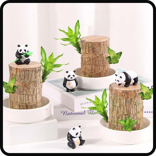FETNHU Brazilian Wood Plant, Brazillian Wood with Panda Ornaments for Home Office (A)