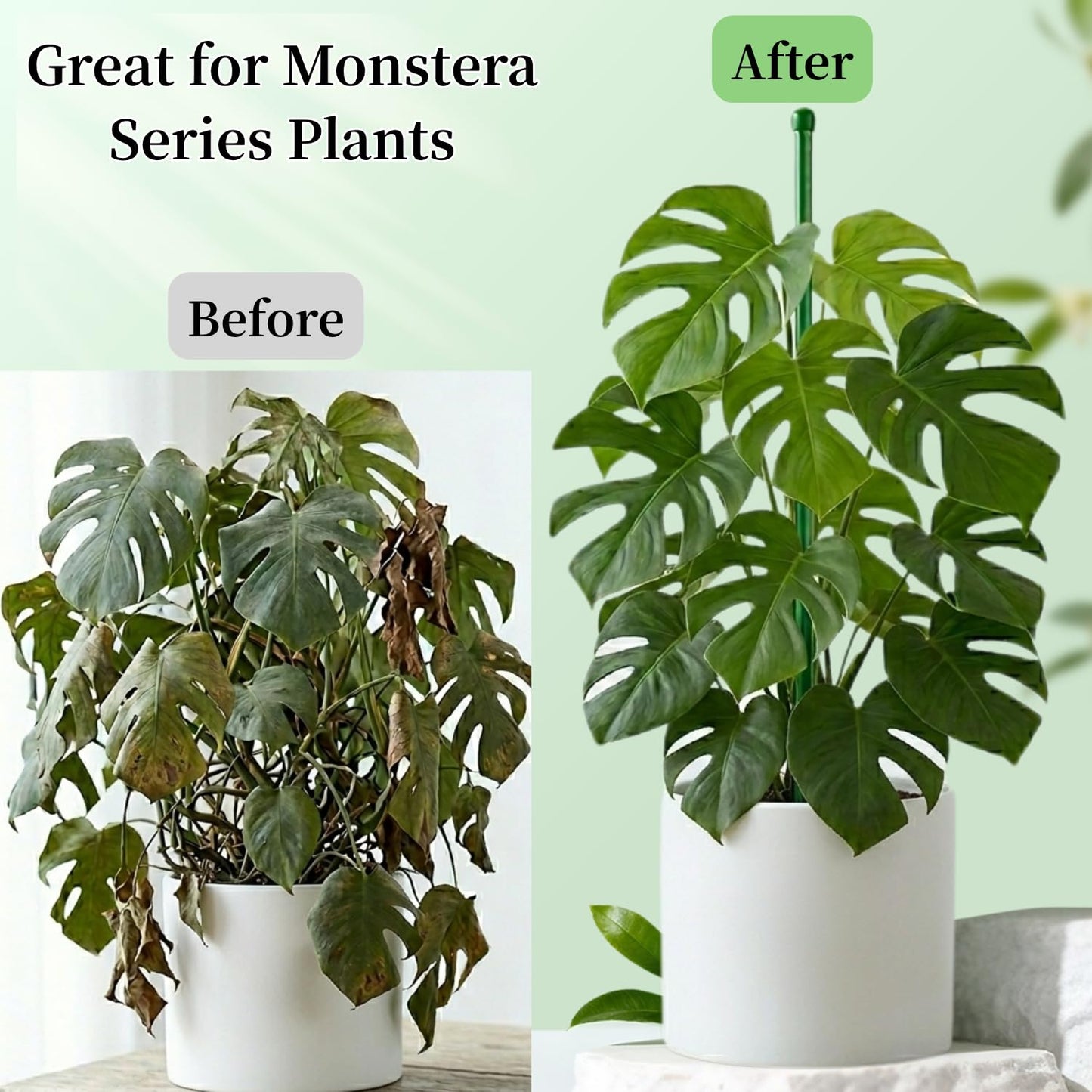 MAZUBOHOY 20Pack Plant Stakes, 16inch & 12inch Adjustable Plant Support Stake Garden Pole Sticks for Indoor/Outdoor Plants Monstera Tomato Orchid Comes with 20 Clips and Ties