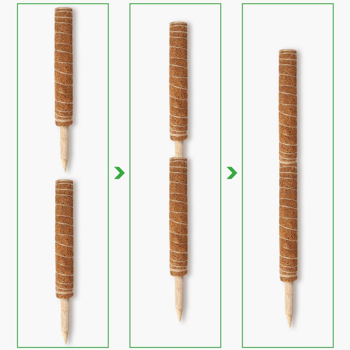 Moss Pole, Augshy 48 Inch Moss Poles - 4Pcs 12 Inch Coir Totem Poles Moss Climbing Sticks for Indoor Creepers Plant Support Extension