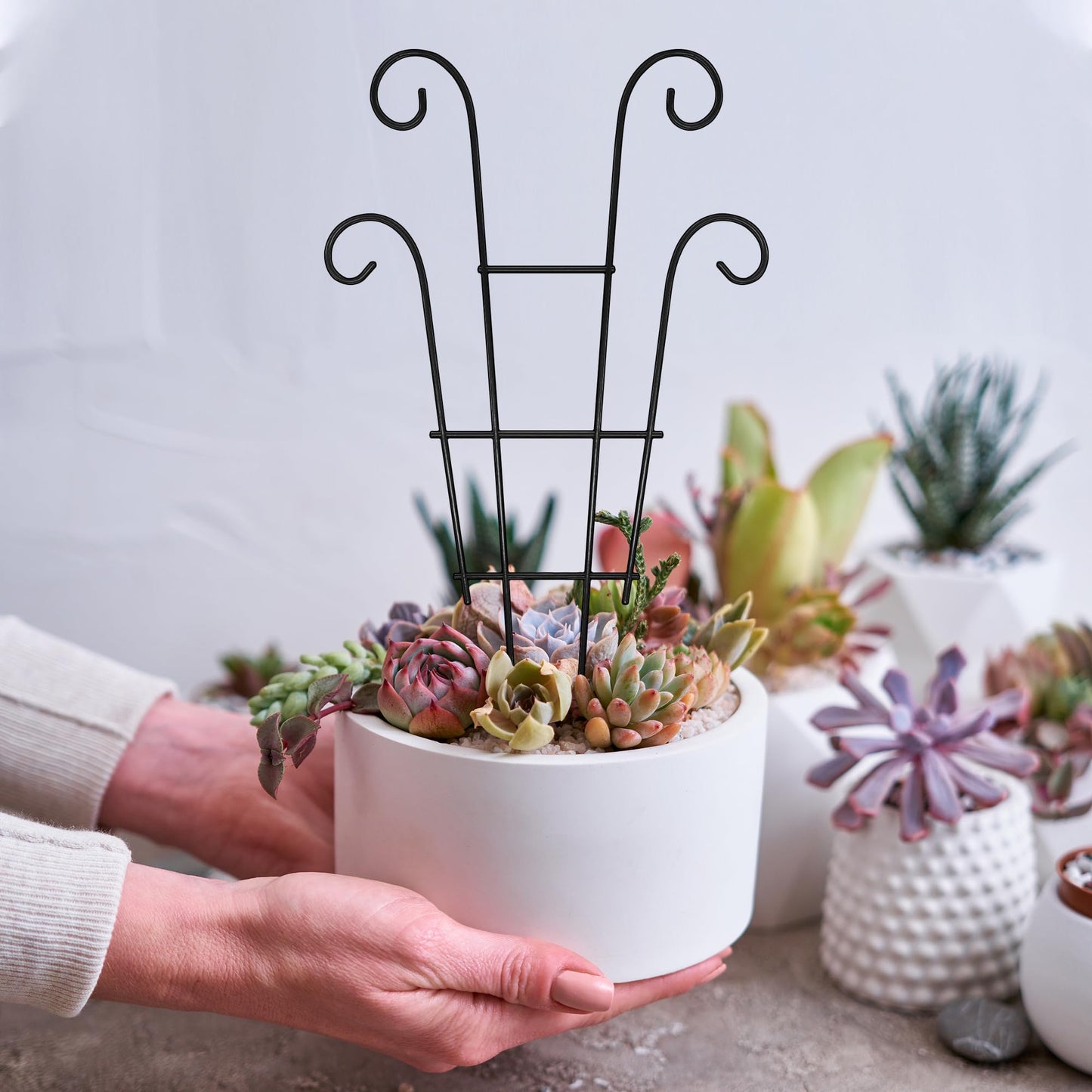 Xeeol 14.17in Trellis for Climbing Plants Indoor, Small Metal Plant Trellis for Potted Plants, Houseplant Trellis Plant Support for Hoya Pothos Vine, Set of 4p, Black