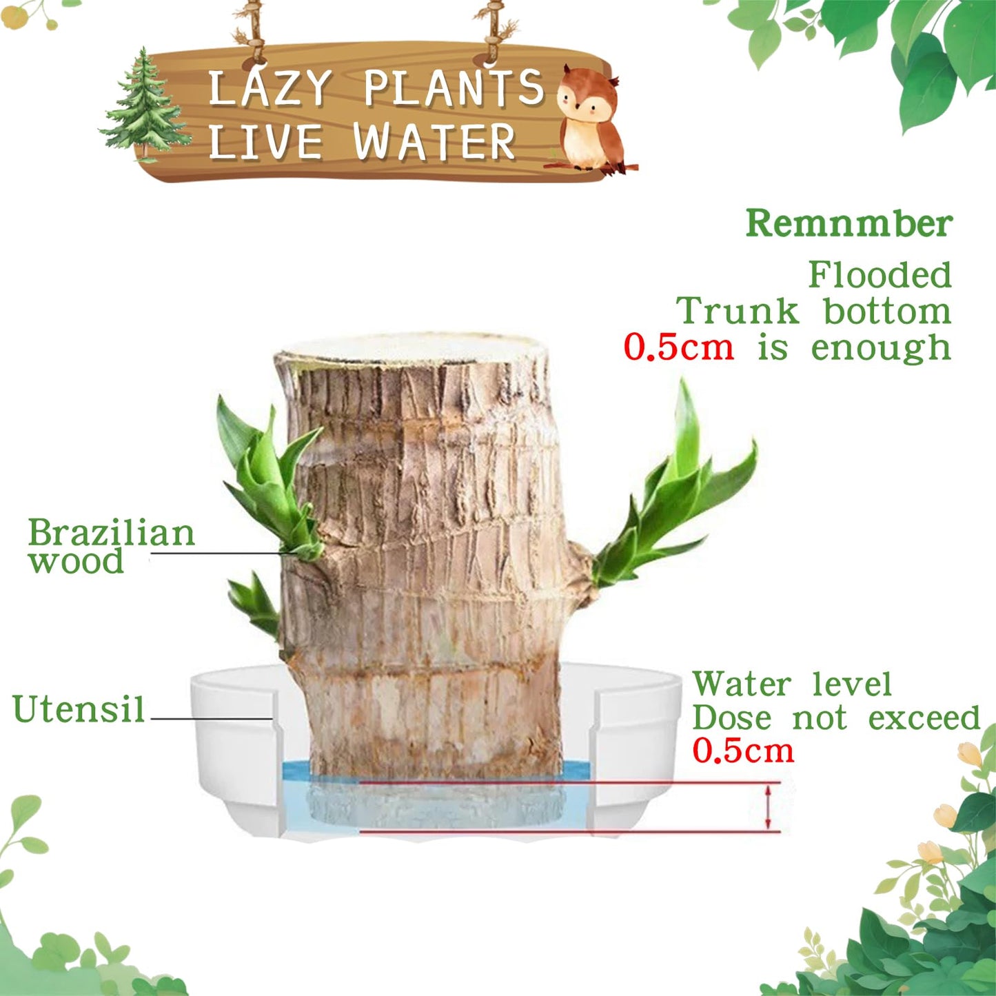 Brazilian Lucky Wood Plant,Fortune Brazil Wood Potted Plant with Owl Figurine,Mini Brazil Decoration, Desk Decor for Home & Office Desktop Planter
