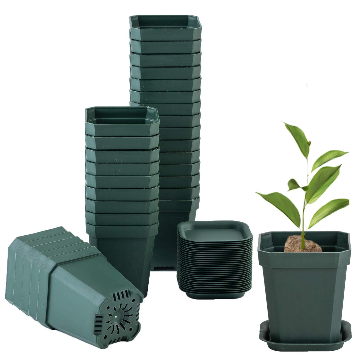 foxany 3" Plants Nursery Pot, 30 Pcs Thick Plastic Square Planting Pots, Plant Seedling Pots, Seed Starting Pots with 30 Saucers - Black-Green