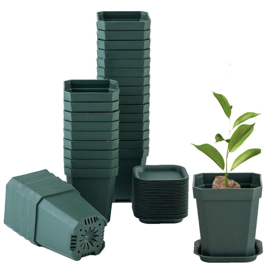 foxany 3" Plants Nursery Pot, 30 Pcs Thick Plastic Square Planting Pots, Plant Seedling Pots, Seed Starting Pots with 30 Saucers - Black-Green