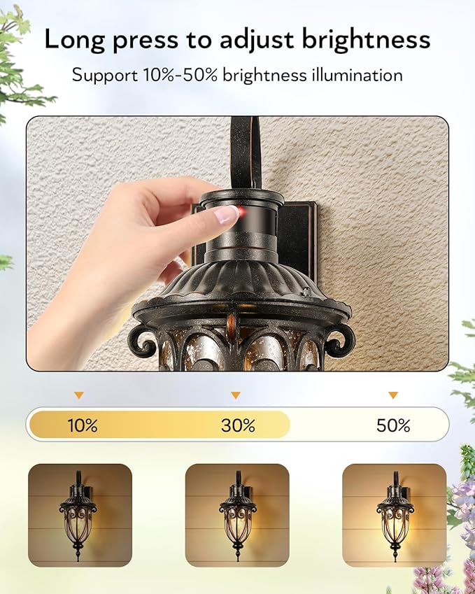 VIANIS Outdoor Motion Sensor Light, Dusk to Dawn Outdoor Light Fixtures, 2 Pack Outside Lights for House, Anti-Rust Bronze Outdoor Wall Lights for House, Garage, Entryway, Seed Glass, Vintage Style