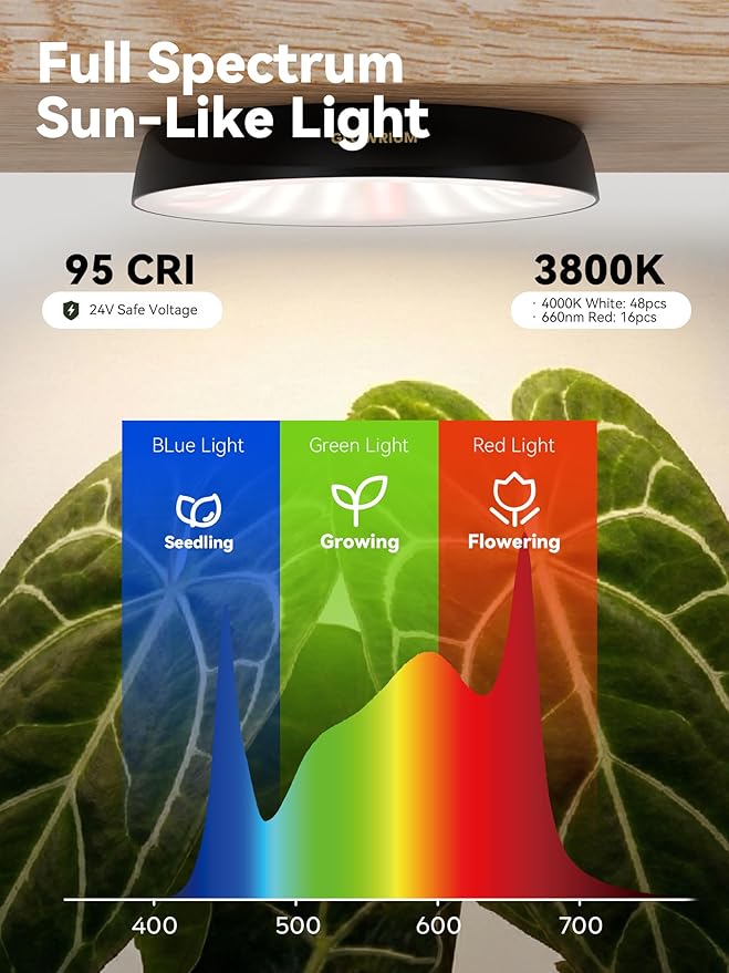 GLOWRIUM Grow Lights for Indoor Plants, Full Spectrum Puck Grow Light with Manual & APP Control, 16W(2 x 8W) Plant Lamp Auto-Timer, Plant Assistant 10 Levels Dimmable for Plant Shelf (2 Packs,Black)