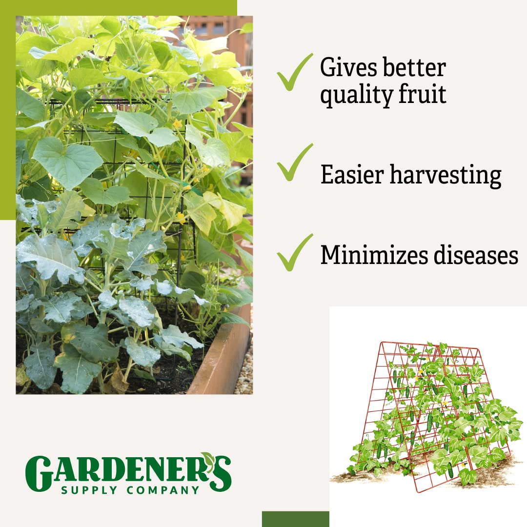 Gardener's Supply Company Deluxe Cucumber Trellis (Green) | Powder Coated Steel Vegetable Support - 32” W x 46” H