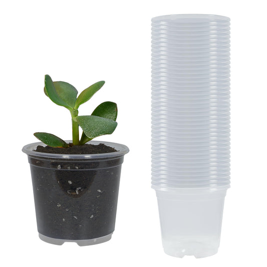 TNTIWQ 40 Pack 3 Inch Clear Nursery Pots with Drainage Plant Pots for Plants Transparent Potting Containers for Plants Seeding Starter Pot (Clear, 3 Inch 40 Pcs)
