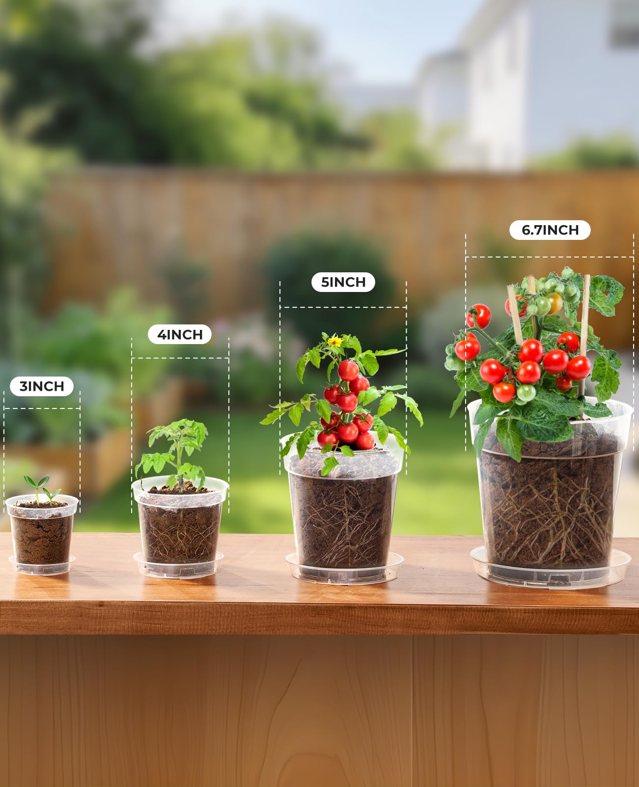 homenote 3 Inch Clear Nursery Pots 60 Pack with Drainage and Plant Saucers, Rigid High Transparency Plastic Nursery Pots for Plants,Thick Walled Planter Nursery Pots with Upgraded Drainage Holes