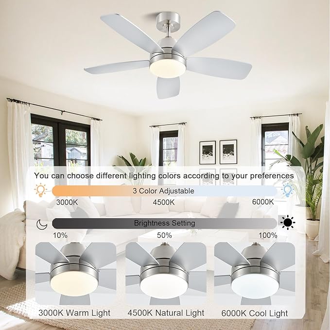 Ceiling Fans with Lights
