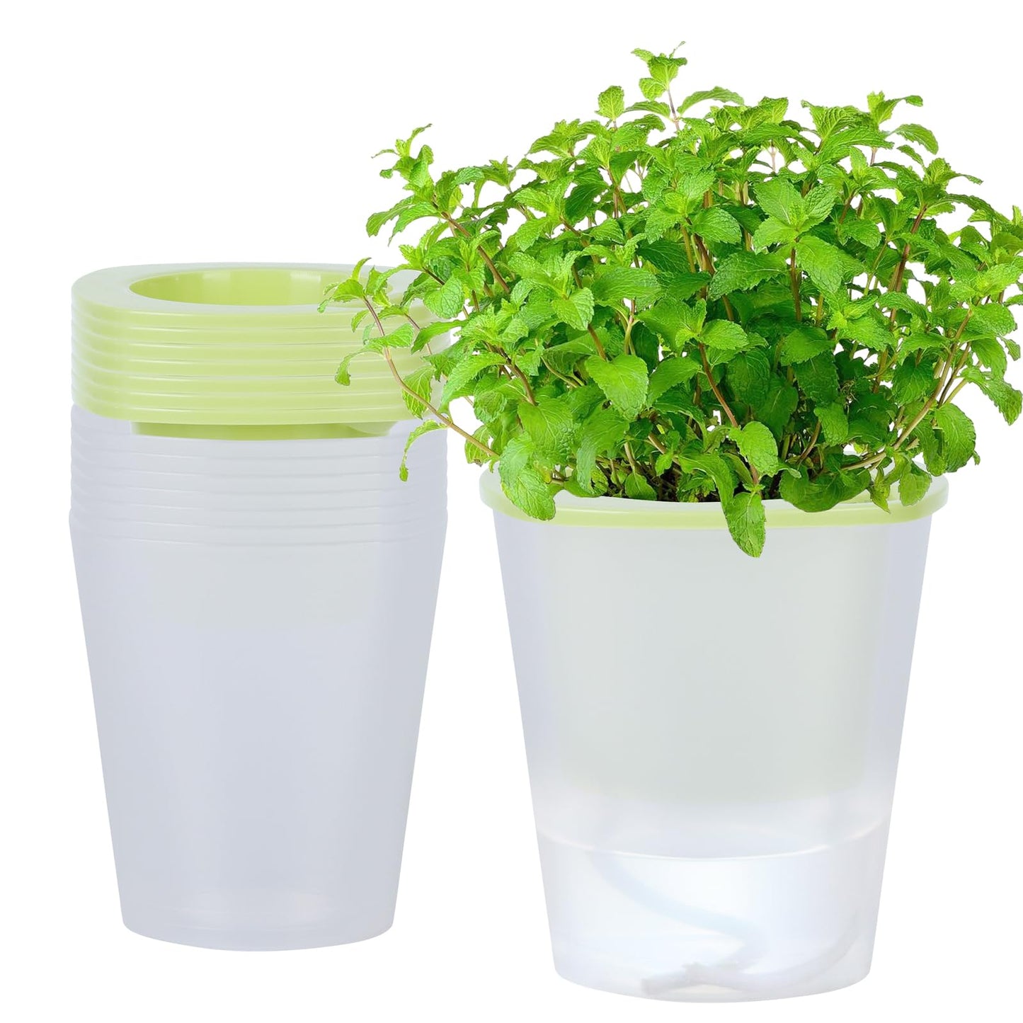 Oliz Self Watering Planter 8 Pcs,4.3 Inch Flower Plant Pot with Inner Pot, Indoor Self Watering Planter Pot for Herbs, Flowers (Green)