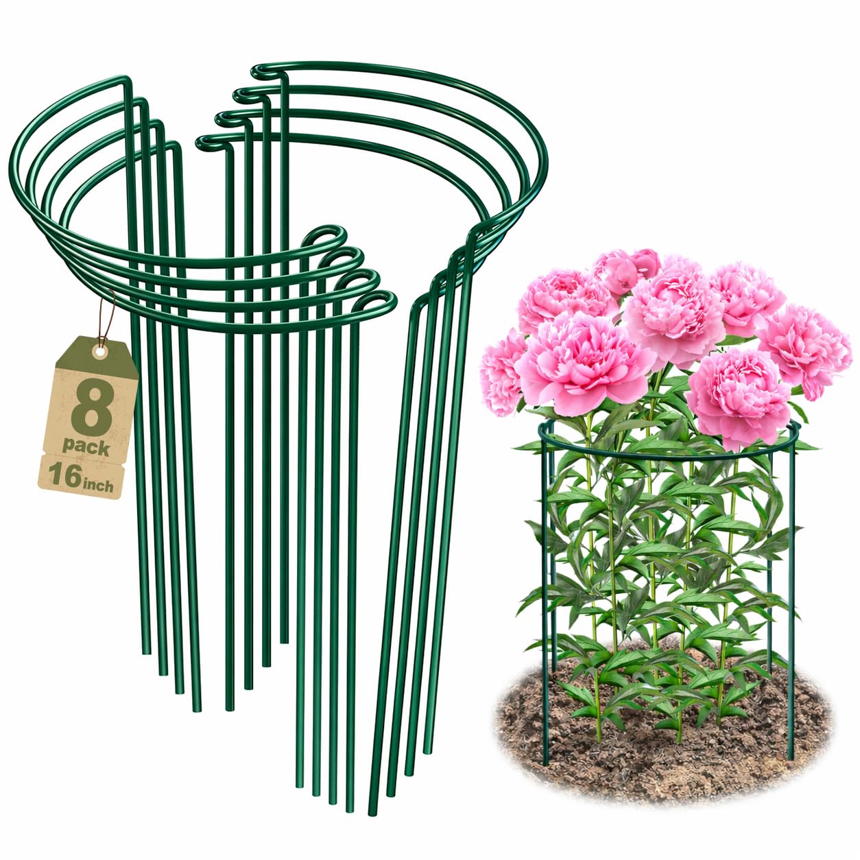 8 Pack Peony Support Cages, 10" W x 16" H Half Round Peony Plant Supports, Heavy Duty Metal Plant Support Stakes, Green Garden Plant Support Rings for Peony, Hydrangea,Tomato & Flowers