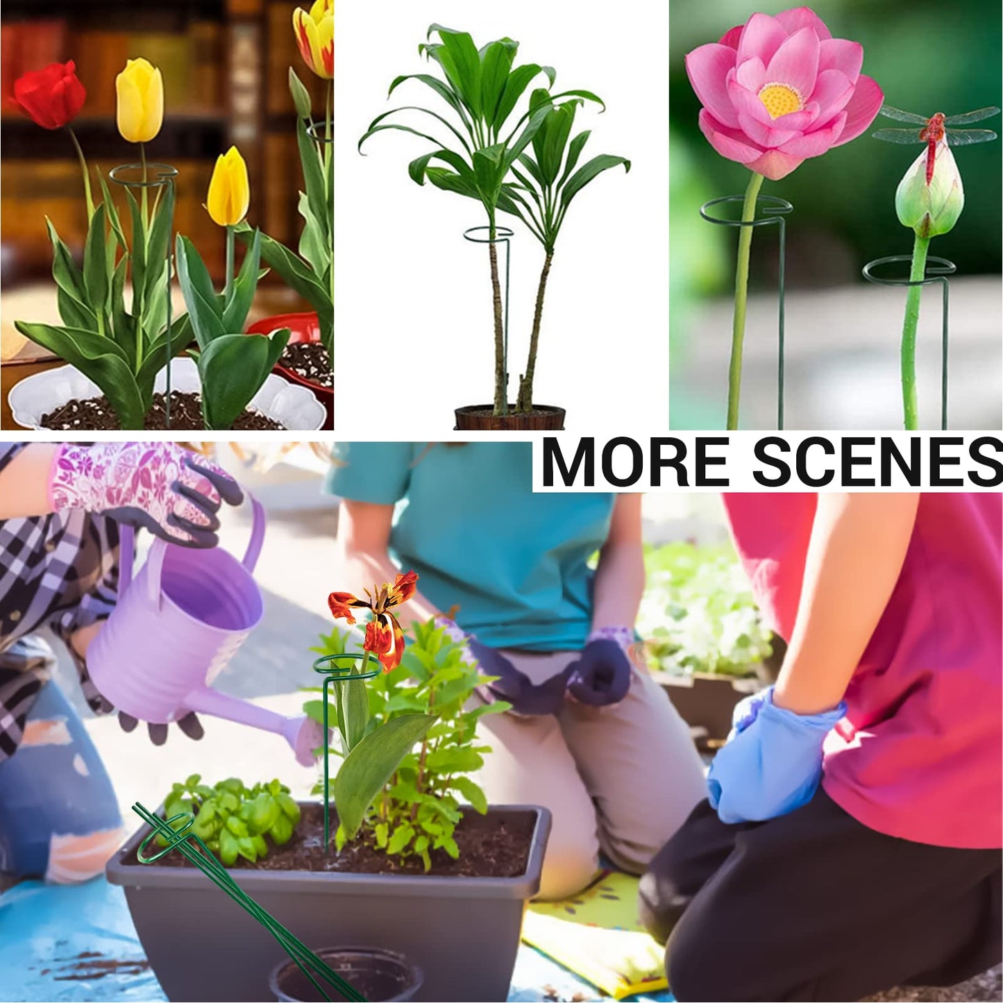 HOMEANING 10PCS Plant Support Stakes for Flowers, Garden Metal Single Stem Plant Support, Garden Flower Support for Indoor Plants Tomatoes, Amaryllis, Orchid, Peony, Lily, Rose -15.9Inch