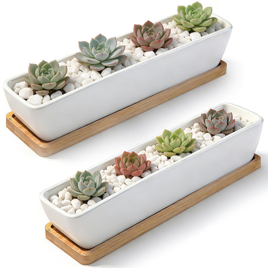 ARVINKEY White Ceramic Succulent Planters, Indoor and Outdoor Succulent Planters, Set of 2 Cactus Containers, Bonsai Pots, Flower Pots with Drainage Hole and Bamboo Bowl (No Plant)