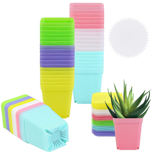 Elcoho 36 Pack 2.7 Inch Square Plants Nursery Pot Multi Color Plastic Plant Seedling Pots Flower Pots Nursery Transplanting Planter Container with Saucer for Your Room, Garden Office and Balcony Decor