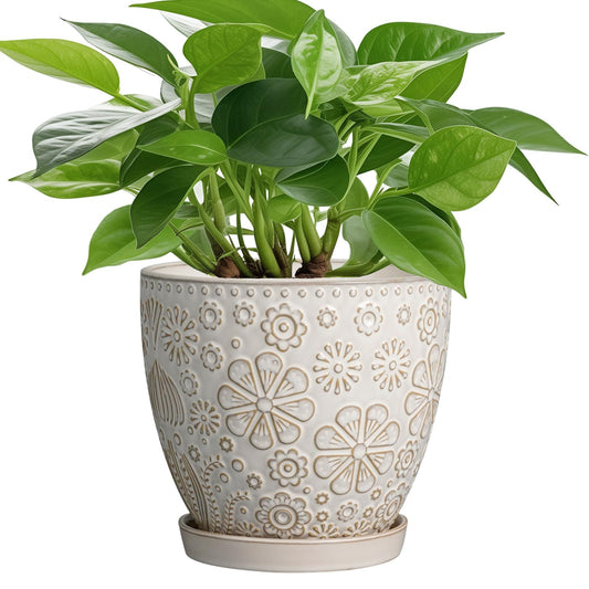MPotTo 6.9 Inch Plant Pot with Drainage Hole and Saucer Ceramic Planter for Indoor Plant Flower Pot for Orchid Succulents Plants White