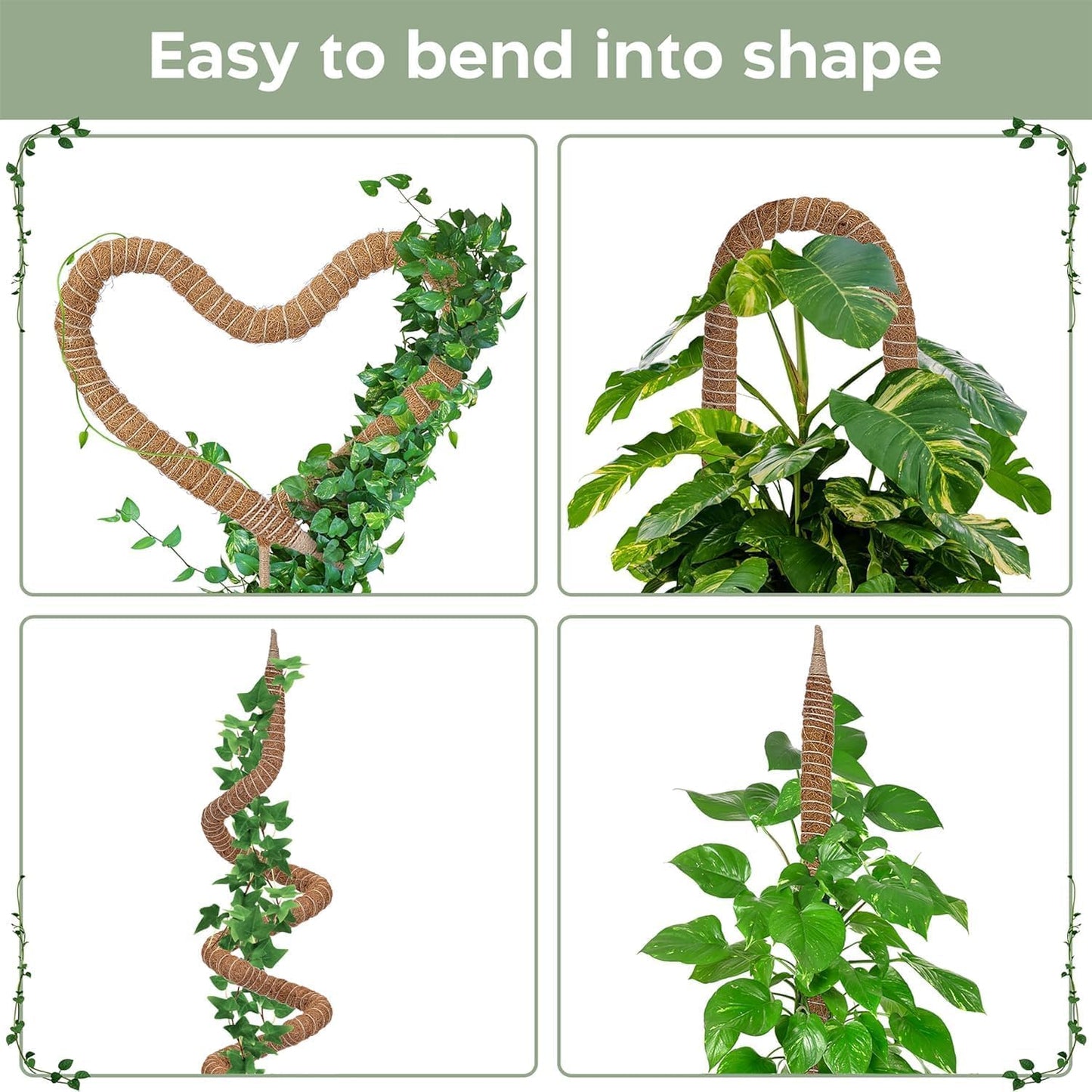 K-Brands 4 Pack Forest Moss Coco Coir Bundle - 2 x 42'' + 2 x 63'' Monstera Plant Support - Moss Poles for Climbing Plants Monstera - Plant Pole Plant Sticks Support
