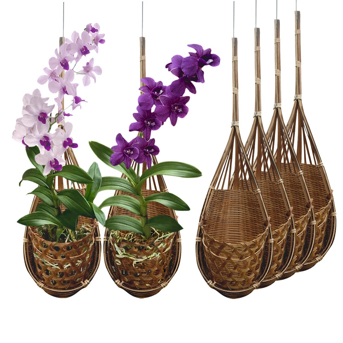 PANWA Handmade 100% Thai Bamboo Hanging Orchid Basket – 4 Inch Set of 6
